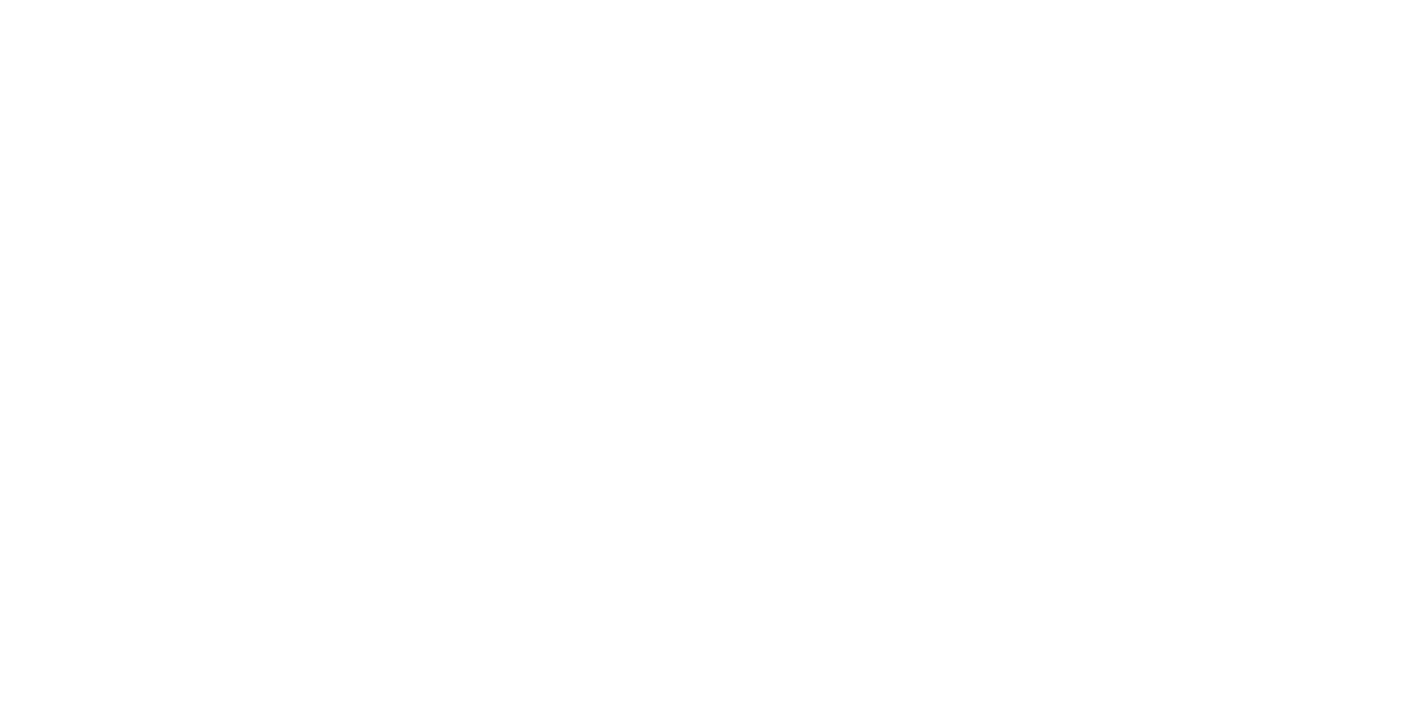 The Mirror News